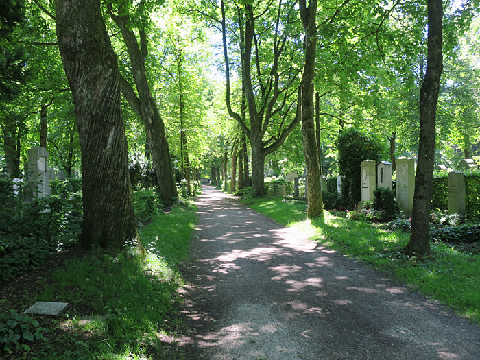 01_ostfriedhof_2017-06-11_7776