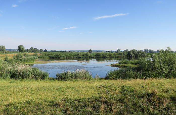 01_fetzer-flachwasser_2017-07-16_8887