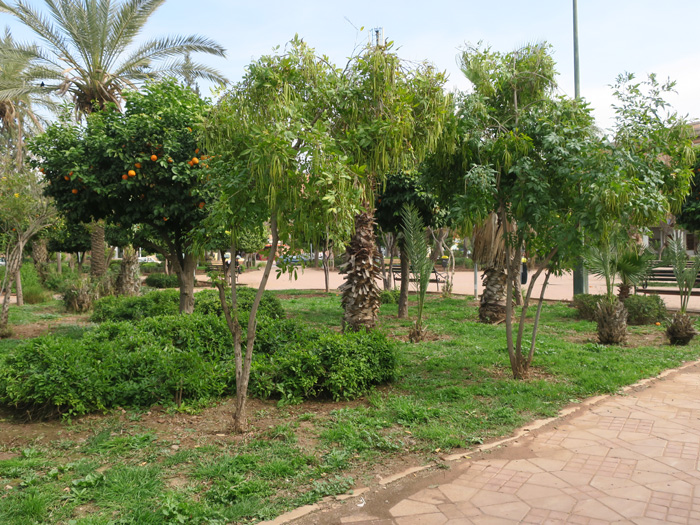 03_park_allal-al-fassi_marrakesh_febr17_3257