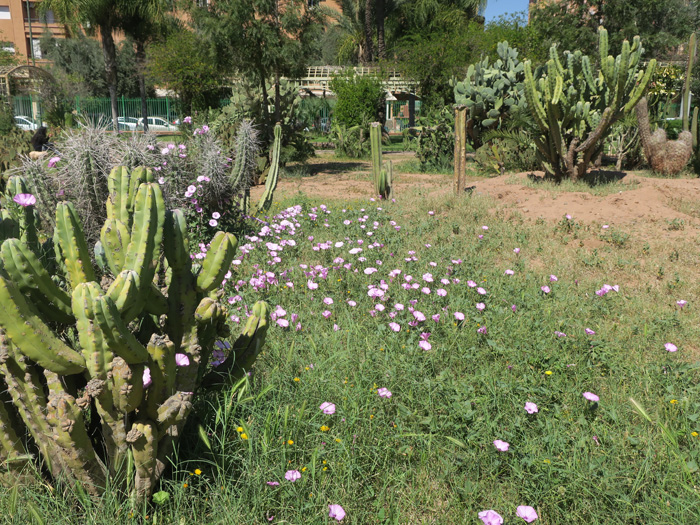 08_jardin-el-harti_marrakesh_maerz17_4117