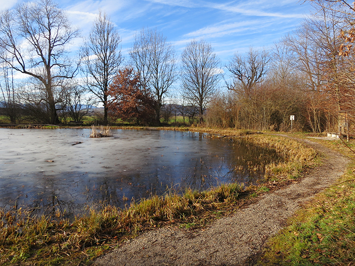 00_bei_benediktbeuern_2018-01-06_3567