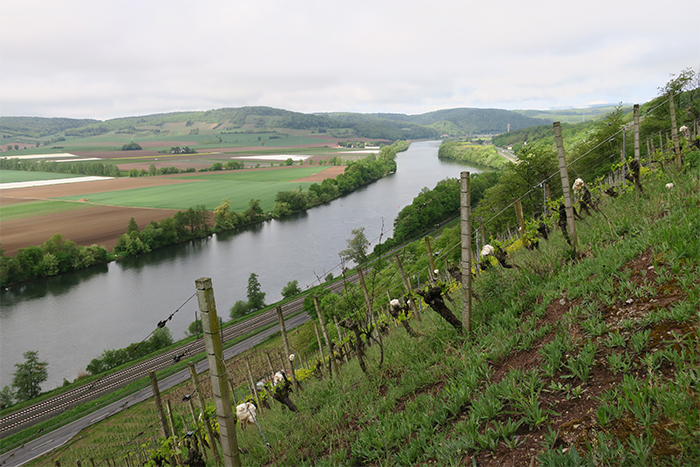 02_nsg-grainberg-kalbenstein_2018-04-30_3196