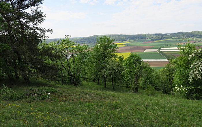 09_nsg_grainberg-kalbenstein_2018-04-30_3251