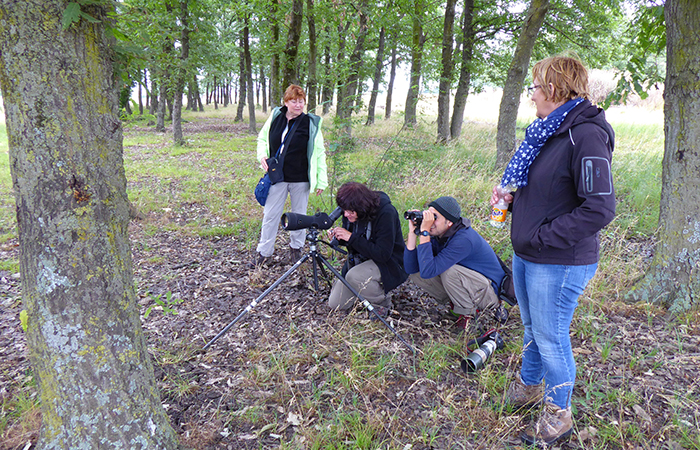 05_im_schikrawald_masalli_2018_06_02_P1020034-markus-daehne