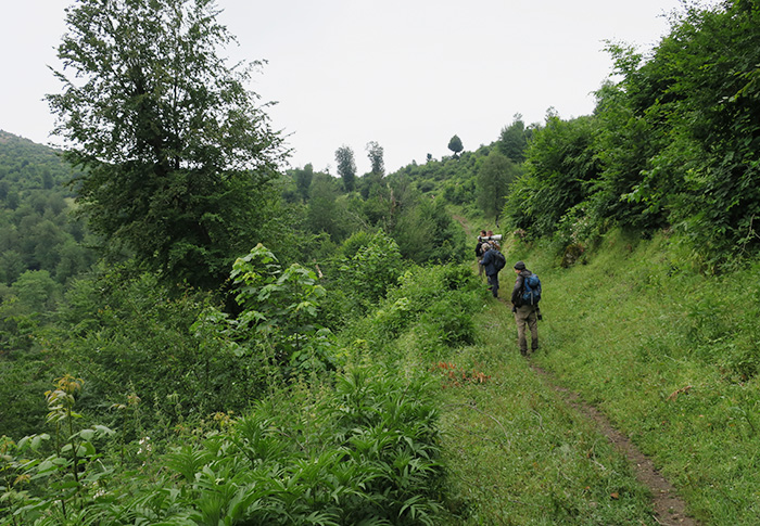 08_rueckweg_Talysch-Gebirge_Aserbaidschan_2018-06-03_7648