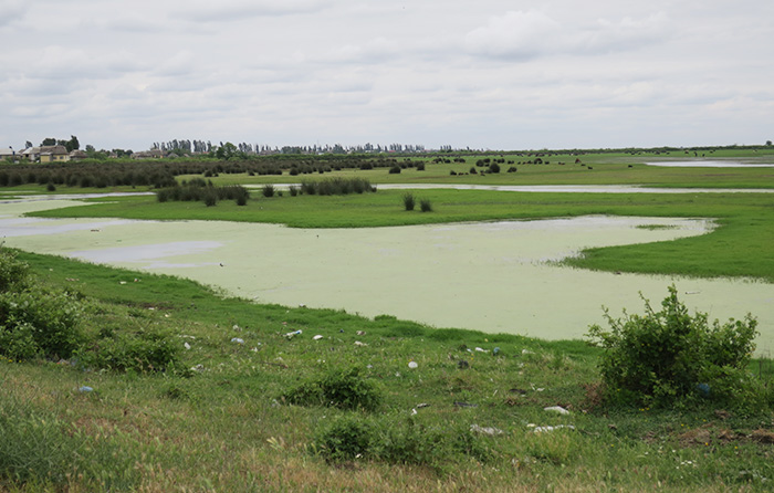 11_gyzylagach_naturreservat_aserbaidschan_2018-06-02_7157