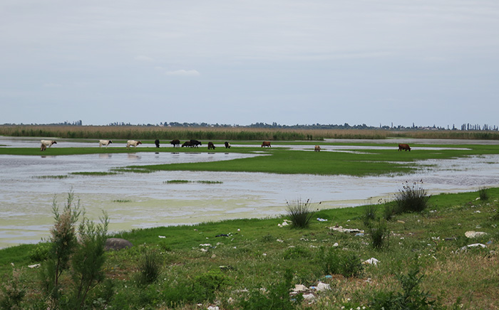 12_gyzylagach_naturreservat_aserbaidschan_2018-06-02_7209