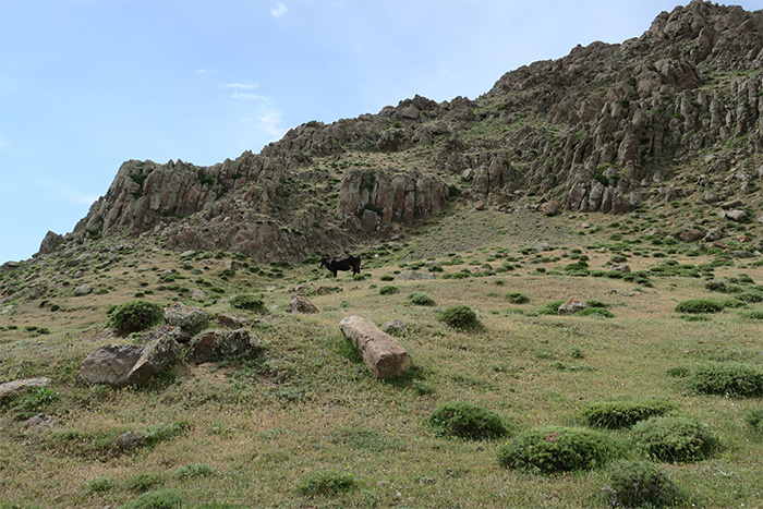 13_piraesora_Talysch-Gebirge_Aserbaidschan_2018-06-03_7790