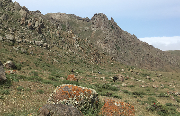 14_piraesora_talysch-gebirge_2018-06-03_0915