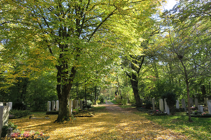 01_friedhof_am_perlacher-forst_2018-10-14_2826