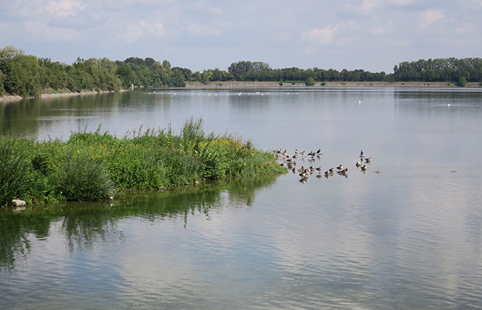 01_ismaninger-speichersee_ostbecken_2018-08-15_1424