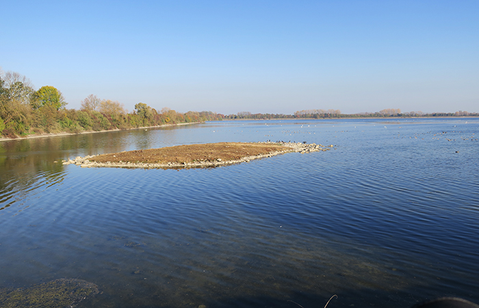 01_ismaninger-speichersee_2018-10-21_2955