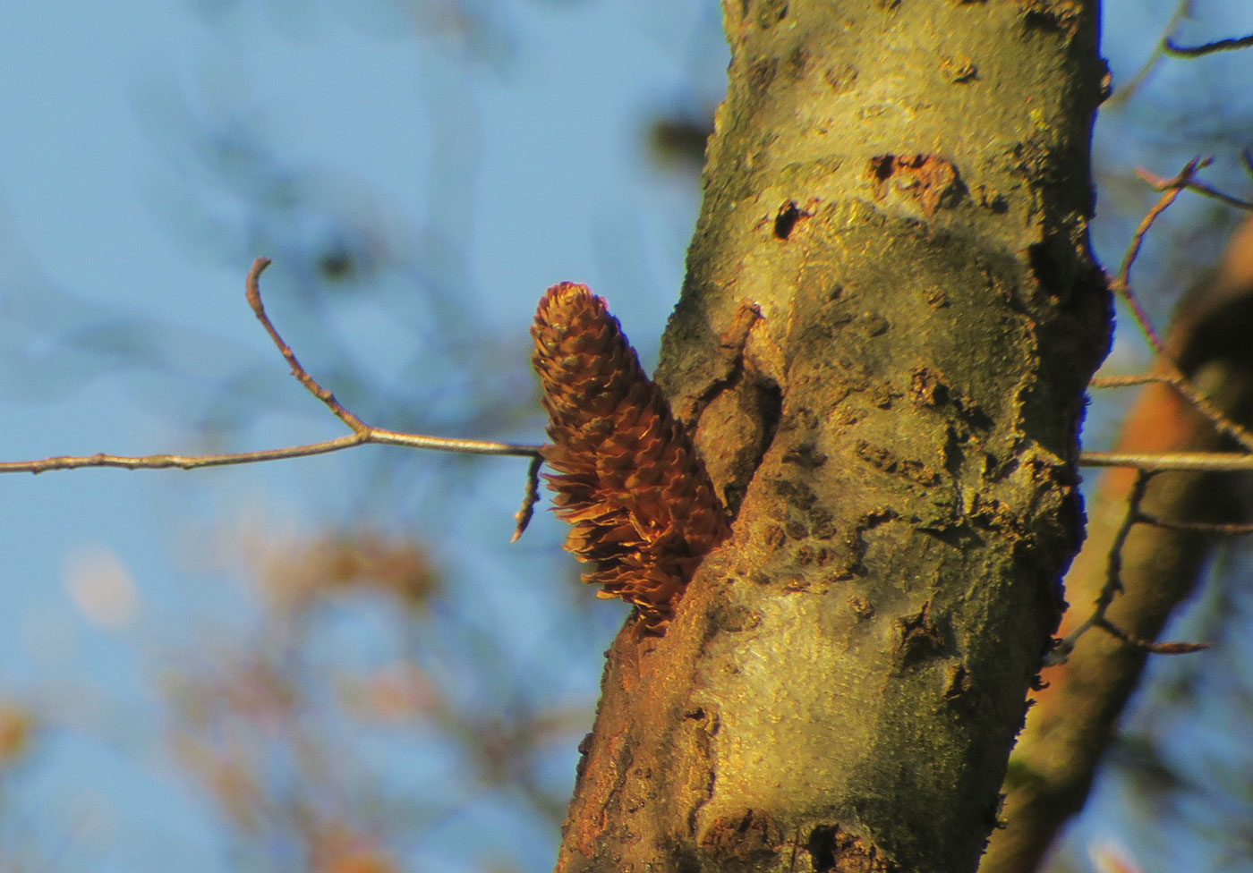 05_spechtschmiede_friedhof-perlacher_2018-12-26_5910