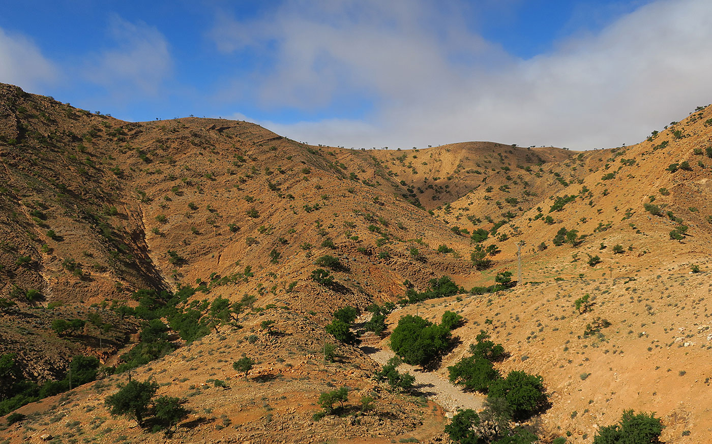 06_weg-nach-guelmim_marokko_2018-11-26_4440