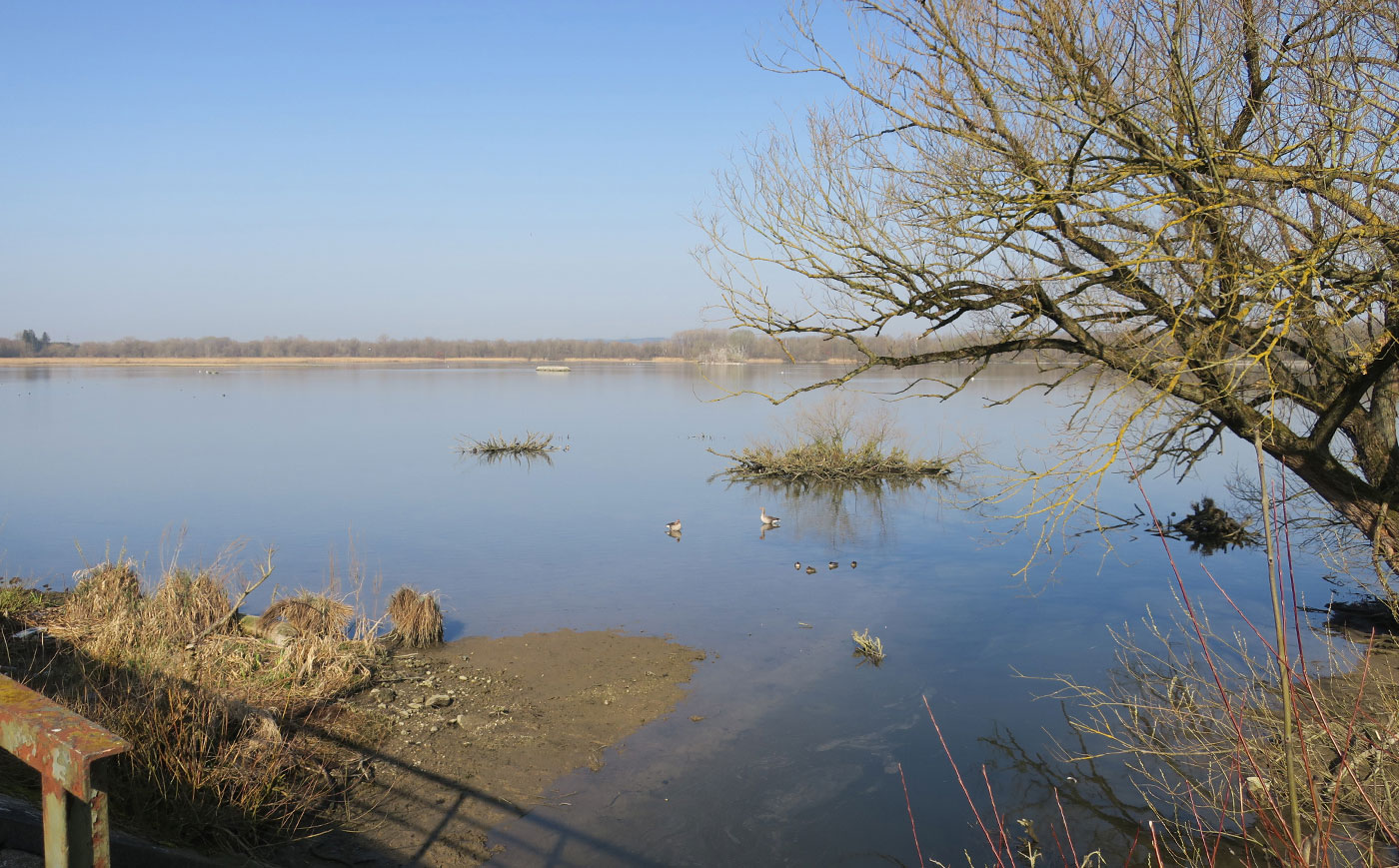01_echinger_stausee_2019-03-31_8311