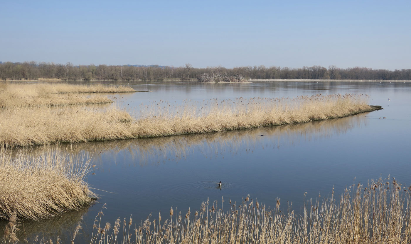 12_echinger_stausee_2019-03-31_8423