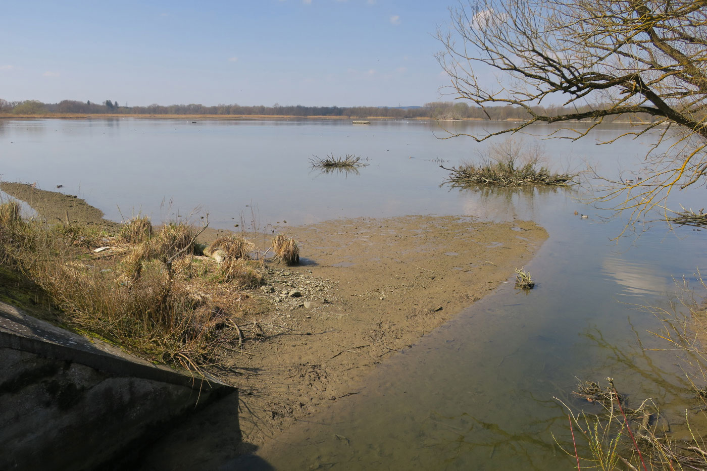 22_echinger_stausee_2019-03-31_8532