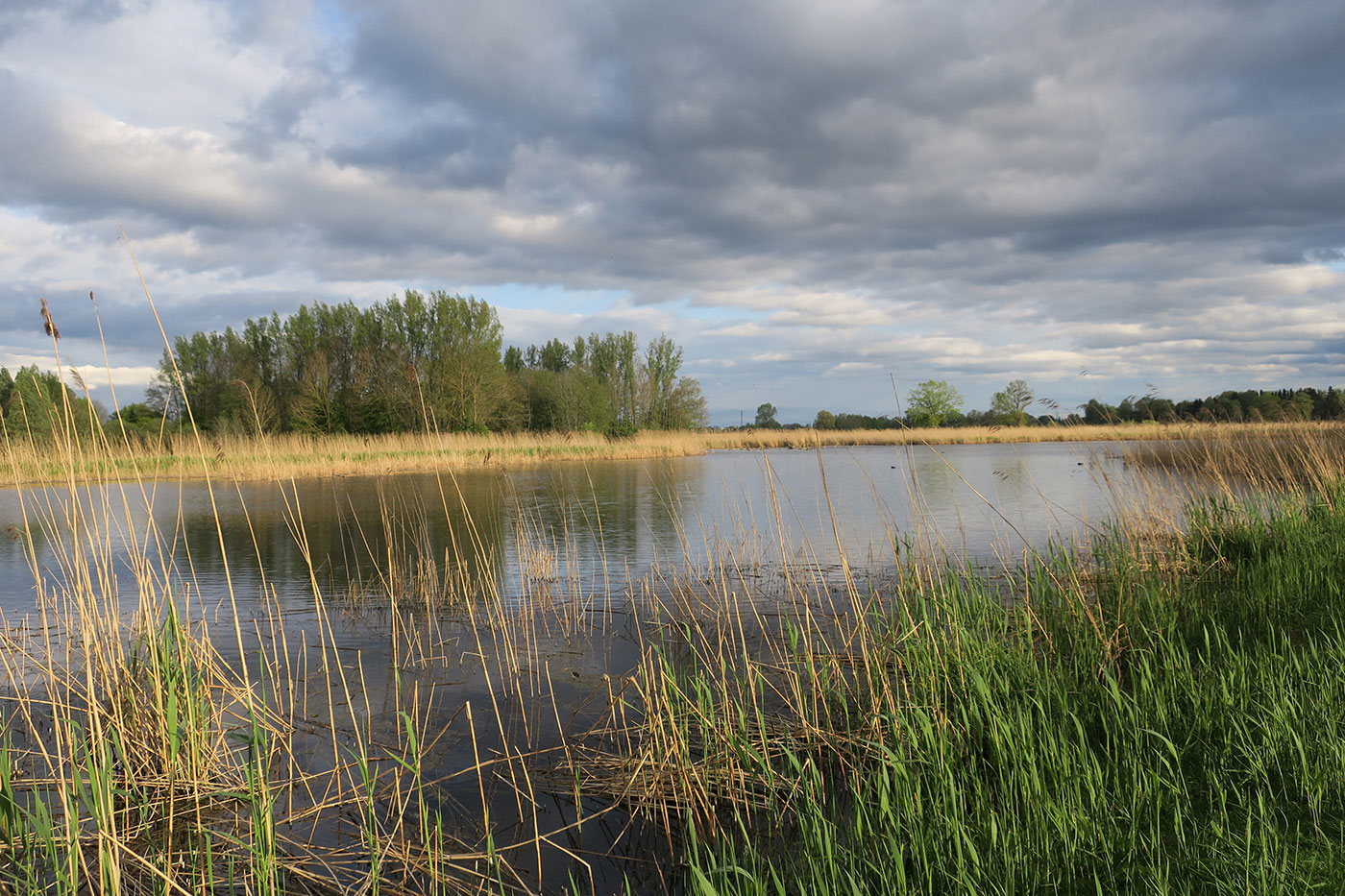 04_eittinger-weiher_2019-04-27_9362