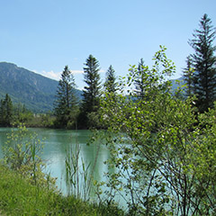 Wiesenbrütergebiet Loisach-Kochelsee-Moor