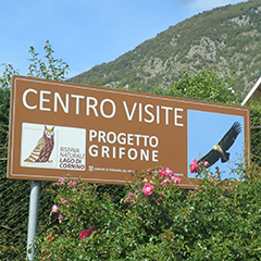 Gänsegeierfutterplatz am »Lago di Cornino«