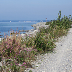 Rheindelta und Bregenzer Achmündung (Vorarlberg)